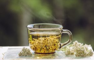 Čajne mešavine za bolesti slezine po preporuci ruskog lekara